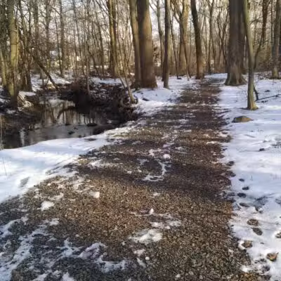 Brookside Nature Trail - Scotch Plains, NJ
