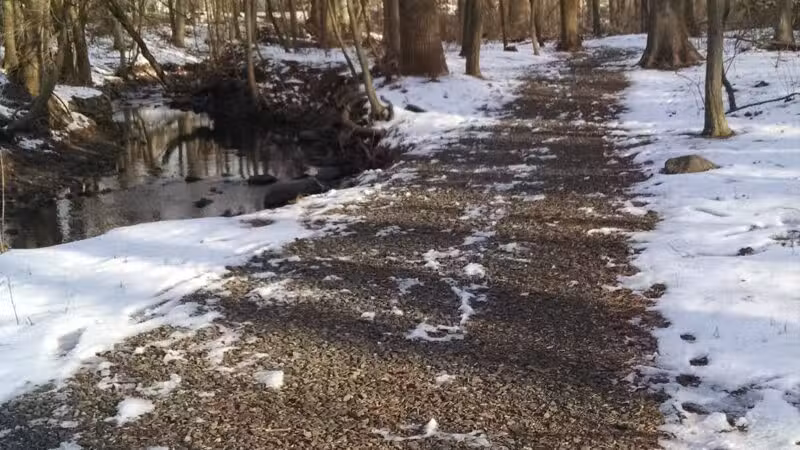 Brookside Nature Trail - Scotch Plains, NJ