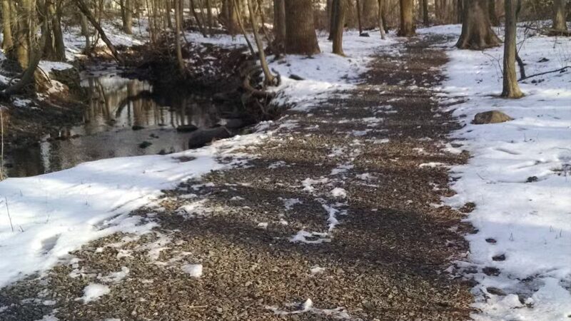 Brookside Nature Trail - Scotch Plains, NJ