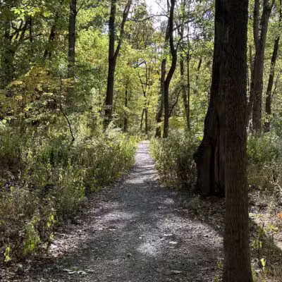 Brookside Nature Trail - Scotch Plains, NJ