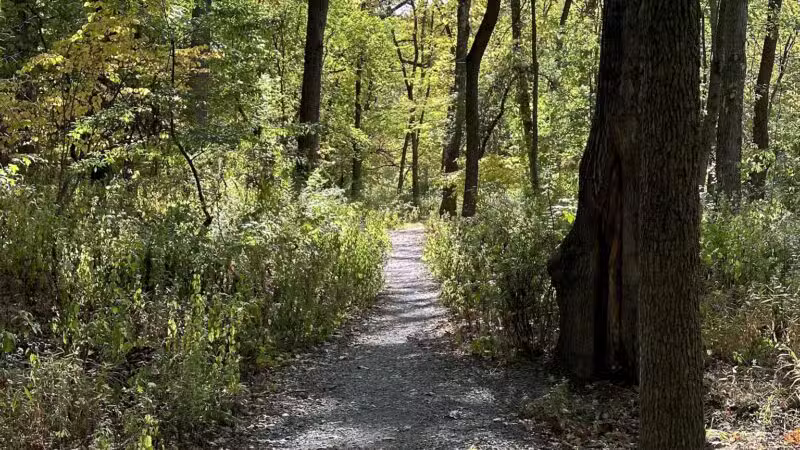 Brookside Nature Trail - Scotch Plains, NJ