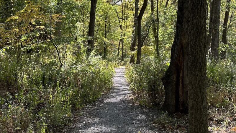 Brookside Nature Trail - Scotch Plains, NJ