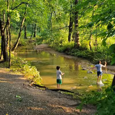 Brookside Nature Trail - Scotch Plains, NJ