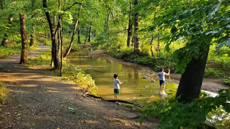 Brookside Nature Trail - Scotch Plains, NJ