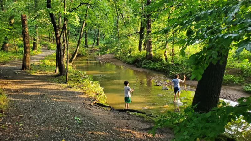 Brookside Nature Trail - Scotch Plains, NJ