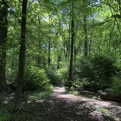 Brookside Nature Trail - Scotch Plains, NJ