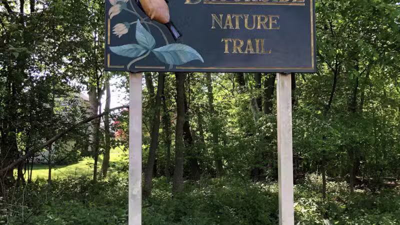 Brookside Nature Trail - Scotch Plains, NJ