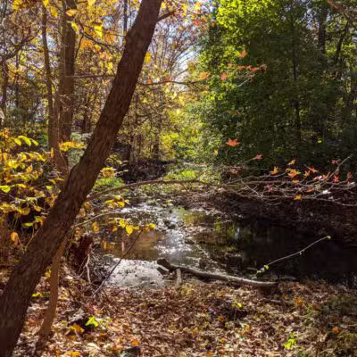 Brookside Nature Trail - Scotch Plains, NJ