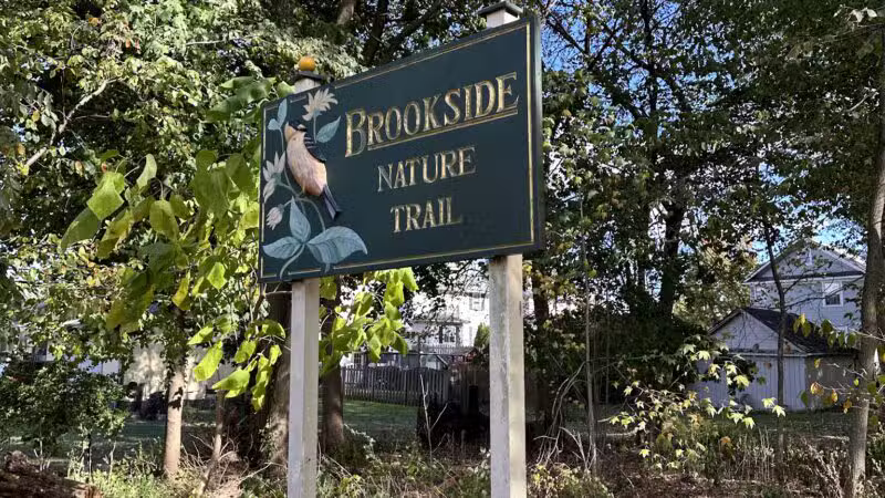 Brookside Nature Trail - Scotch Plains, NJ