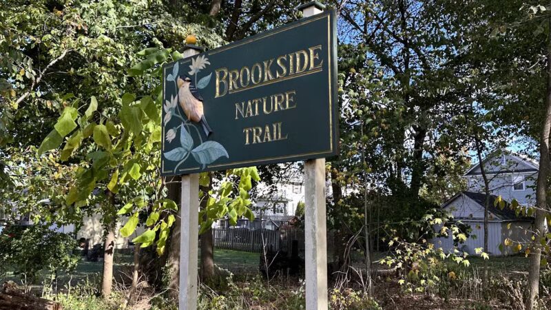 Brookside Nature Trail - Scotch Plains, NJ