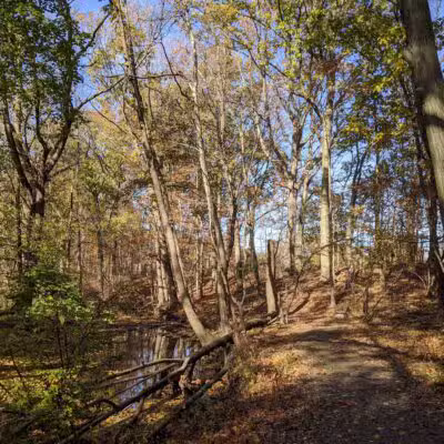 Brookside Park - Scotch Plains, NJ