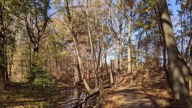Brookside Park - Scotch Plains, NJ