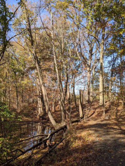 Brookside Park - Scotch Plains, NJ