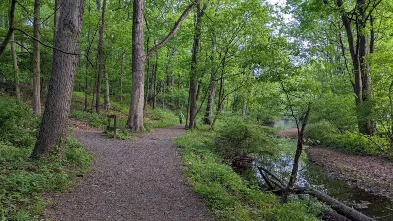 Brookside Park - Scotch Plains, NJ