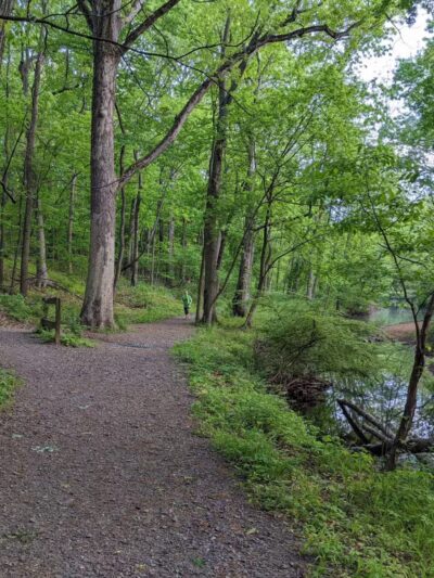 Brookside Park - Scotch Plains, NJ