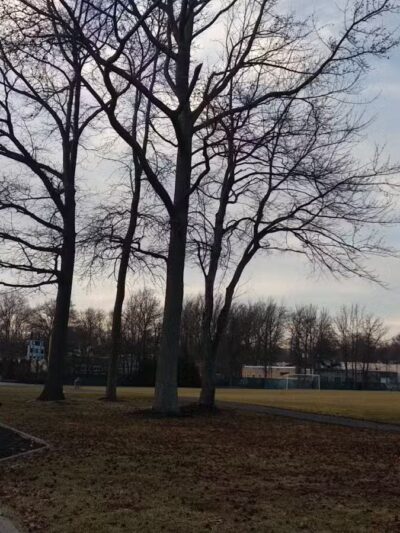 Jerseyland Park - Scotch Plains, NJ