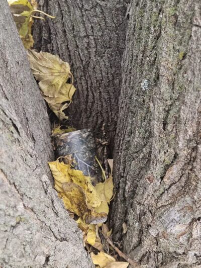 Scotland Park - Scotland, TX