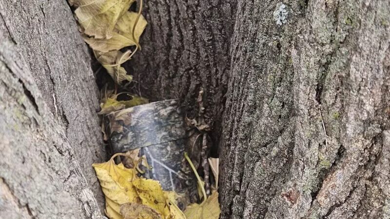 Scotland Park - Scotland, TX