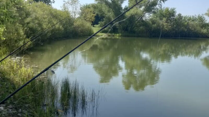 Pond Park - Scranton, IA