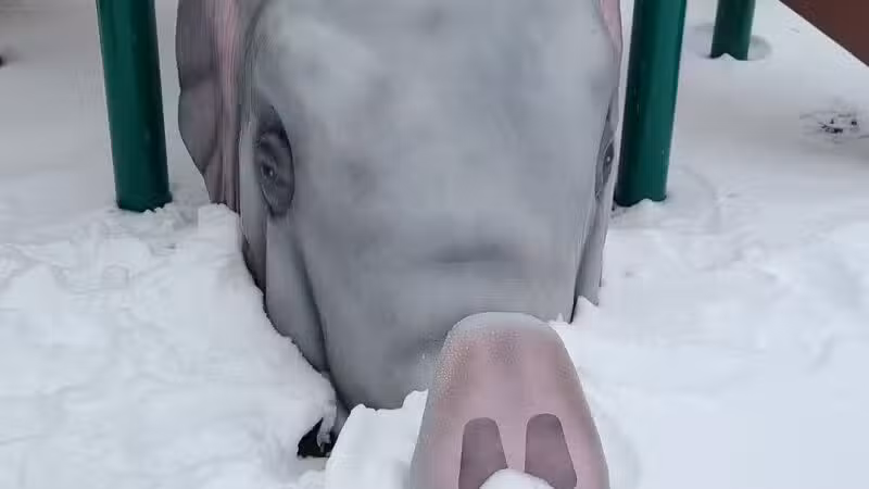 Farm Road Park - Secaucus, NJ