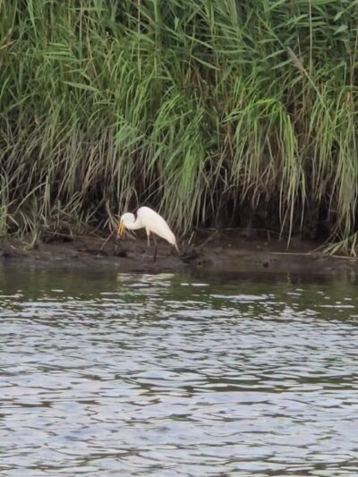 Kayak Launch - Mill Creek Point Park - Secaucus, NJ