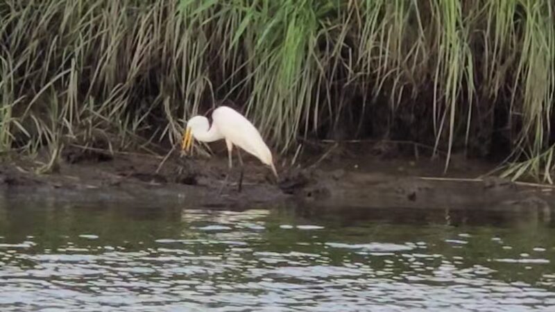 Kayak Launch - Mill Creek Point Park - Secaucus, NJ