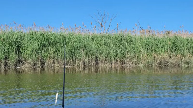 Kayak Launch - Mill Creek Point Park - Secaucus, NJ