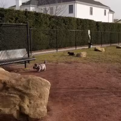 Secaucus Dog Park - Secaucus, NJ