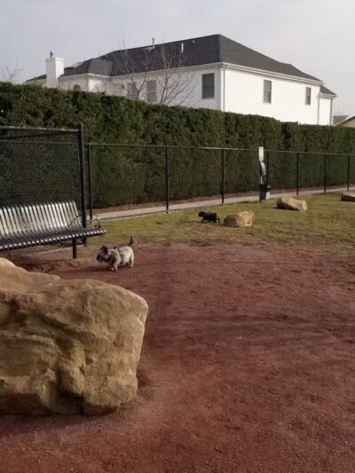 Secaucus Dog Park - Secaucus, NJ