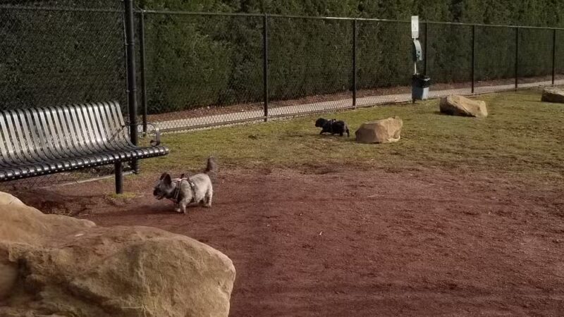 Secaucus Dog Park - Secaucus, NJ