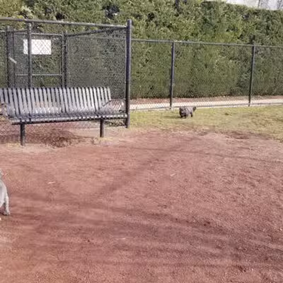 Secaucus Dog Park - Secaucus, NJ