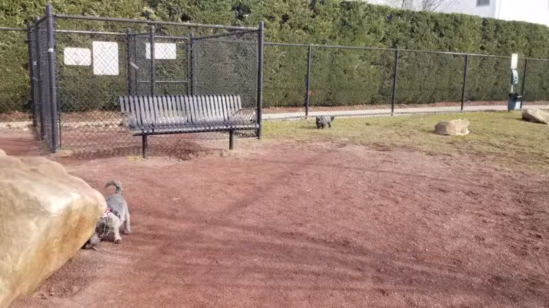Secaucus Dog Park - Secaucus, NJ