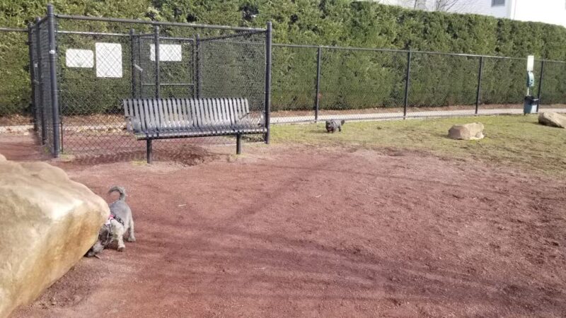 Secaucus Dog Park - Secaucus, NJ