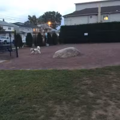 Secaucus Dog Park - Secaucus, NJ