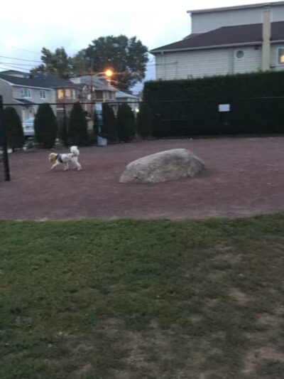 Secaucus Dog Park - Secaucus, NJ