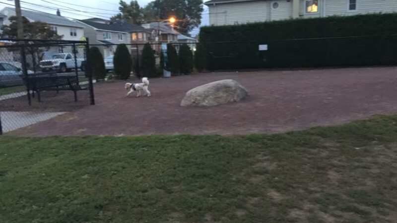 Secaucus Dog Park - Secaucus, NJ