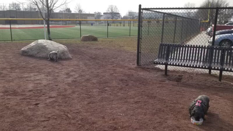 Secaucus Dog Park - Secaucus, NJ