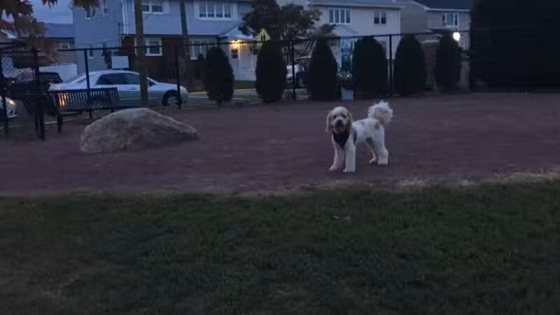 Secaucus Dog Park - Secaucus, NJ