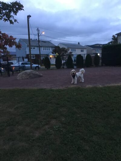 Secaucus Dog Park - Secaucus, NJ