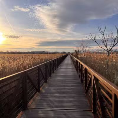 Secaucus Greenway - Secaucus, NJ
