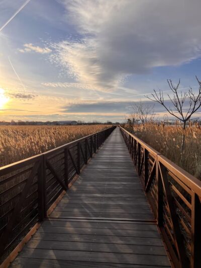 Secaucus Greenway - Secaucus, NJ