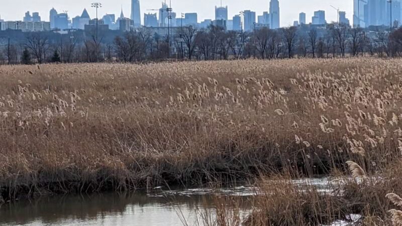 Secaucus Greenway - Secaucus, NJ