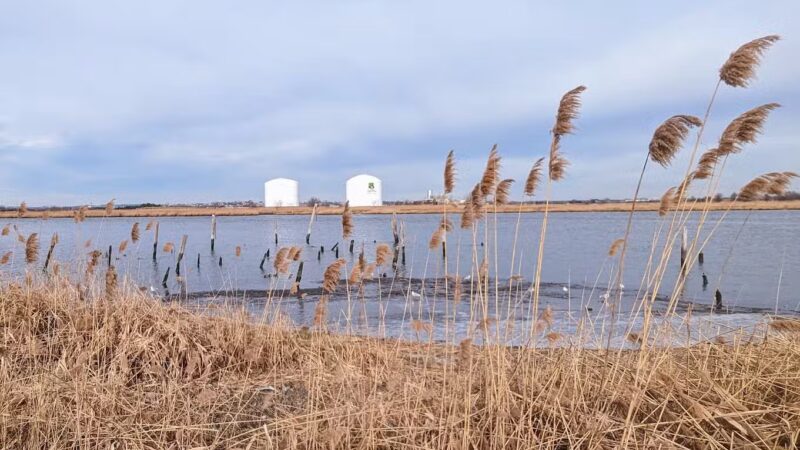 Secaucus Greenway - Secaucus, NJ
