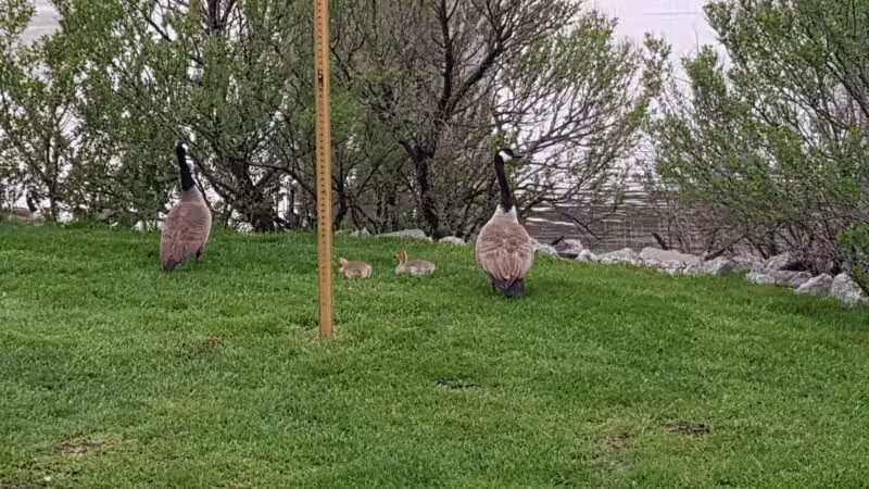 Snipes Park - Secaucus, NJ