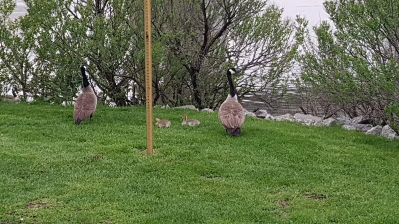 Snipes Park - Secaucus, NJ