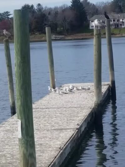 Brookhaven Town Beach - Setauket- East Setauket, NY