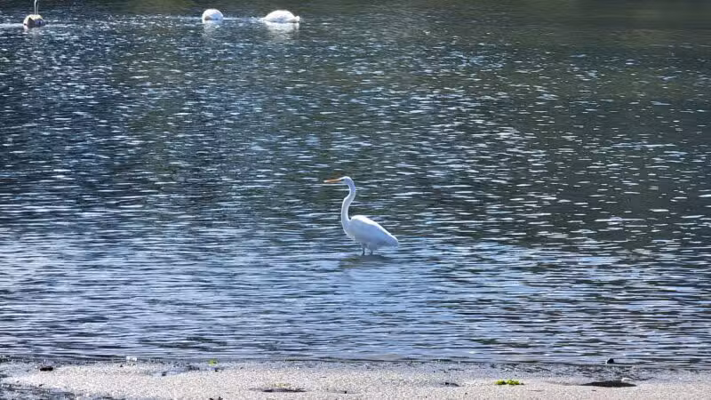Brookhaven Town Beach - Setauket- East Setauket, NY
