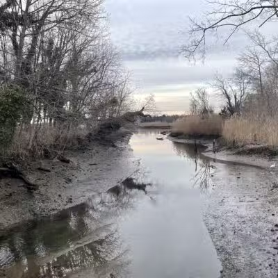 East Setauket Pond Park - Setauket- East Setauket, NY