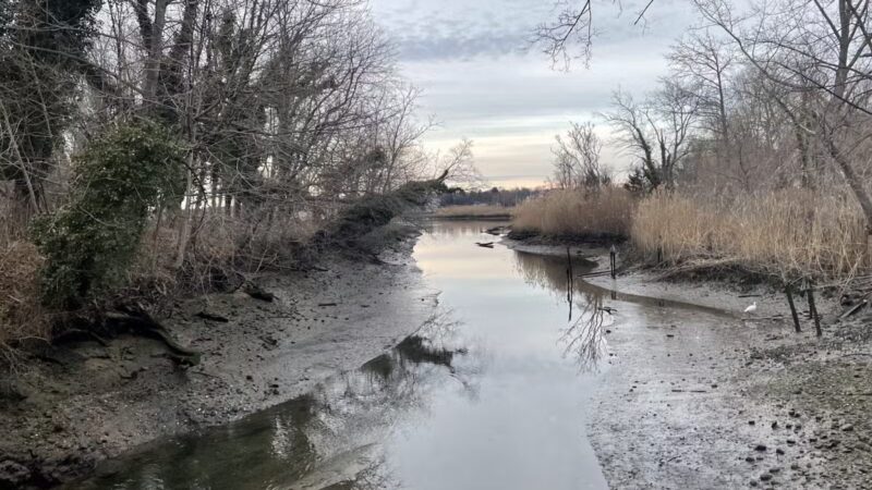 East Setauket Pond Park - Setauket- East Setauket, NY