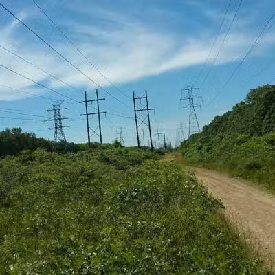 Laurel Ridge Setauket Woods Nature Preserve - Setauket- East Setauket, NY